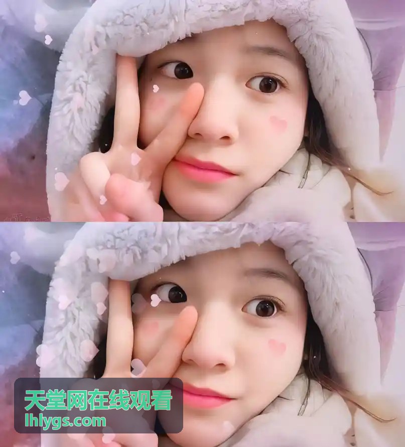 热门剧集 - 天堂网在线观看